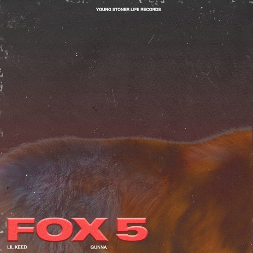 Fox 5