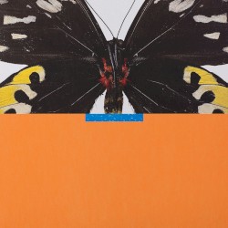 Whities 014