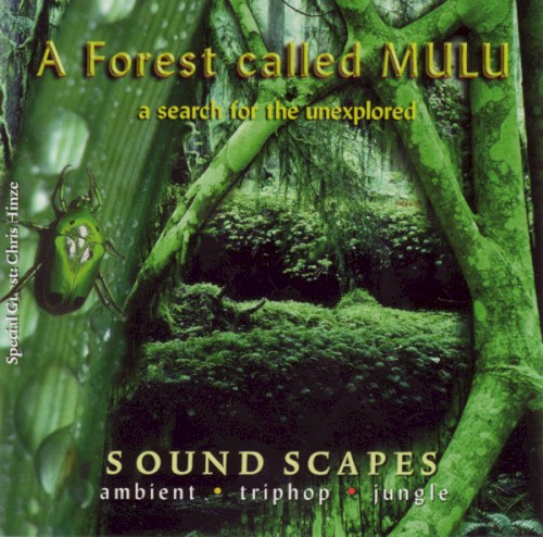 A Search for the Unexplored