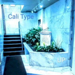 UP