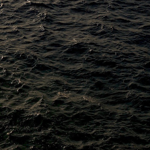 Pale Ribbons Tossed into the Dark