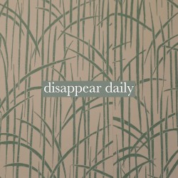 Disappear Daily