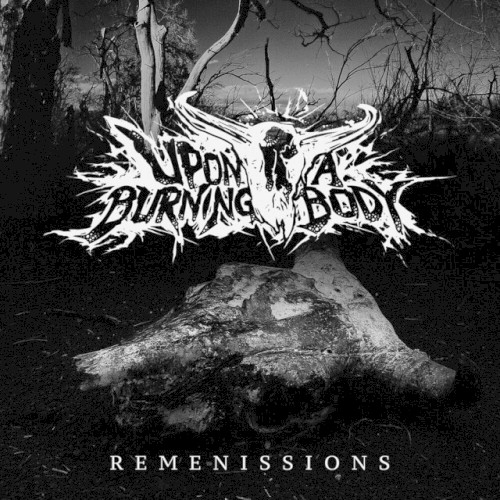Remenissions