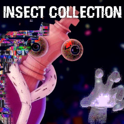 Insect Collection