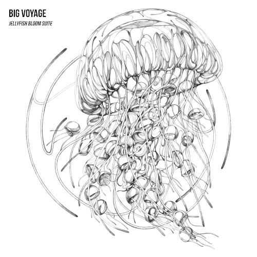 Jellyfish Bloom Suite