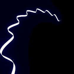 SINE TWIST IS BACK