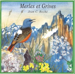 Merles et grives / Larger Thrushes