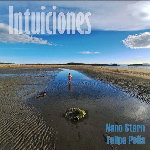 Intuiciones