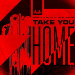 Take You Home