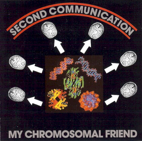 My Chromosomal Friend
