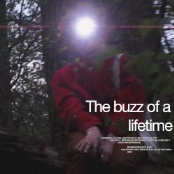 The buzz of a lifetime