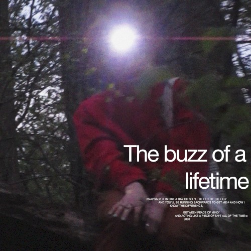 The buzz of a lifetime