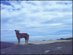 My Trip To Sri Lanka