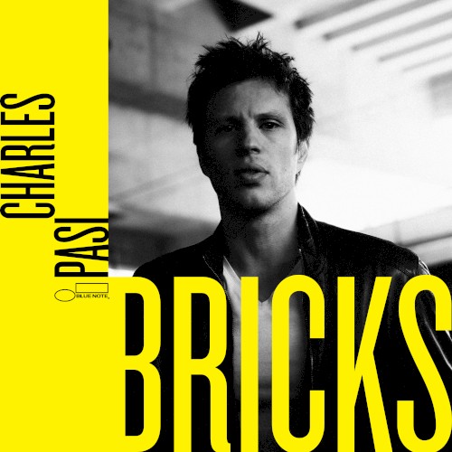 Bricks