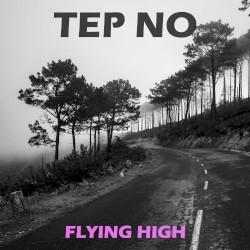 Flying High