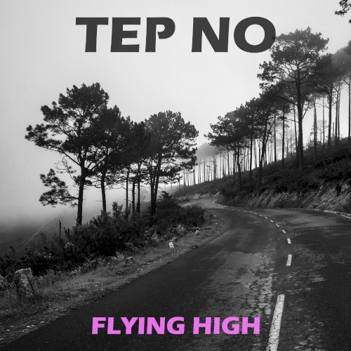 Flying High