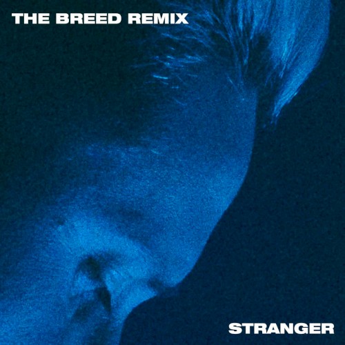 Stranger (The Breed Remix)