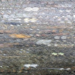 striate droplet