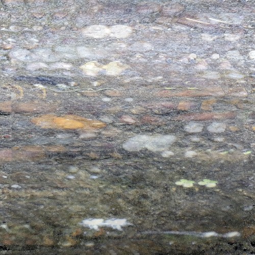 striate droplet