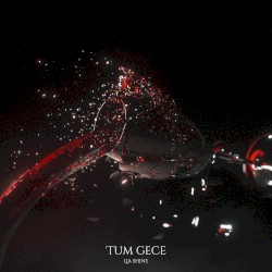 Tüm Gece