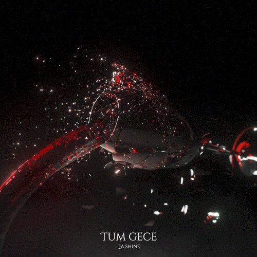 Tüm Gece