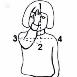 ms what i need