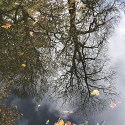 Bed in the River