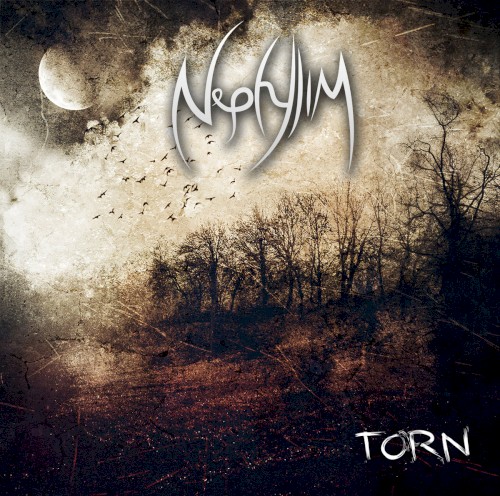 Torn
