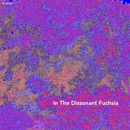 In the Dissonant Fuchsia