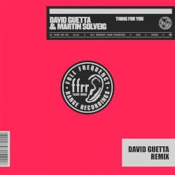 Thing For You (David Guetta remix)