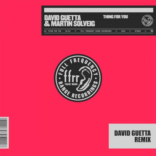 Thing For You (David Guetta remix)