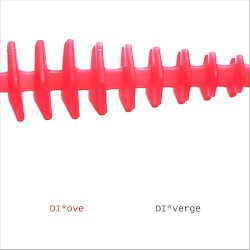DI*verge
