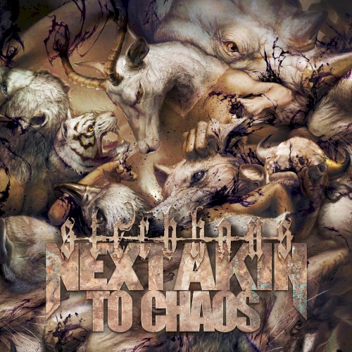 Next Akin to Chaos