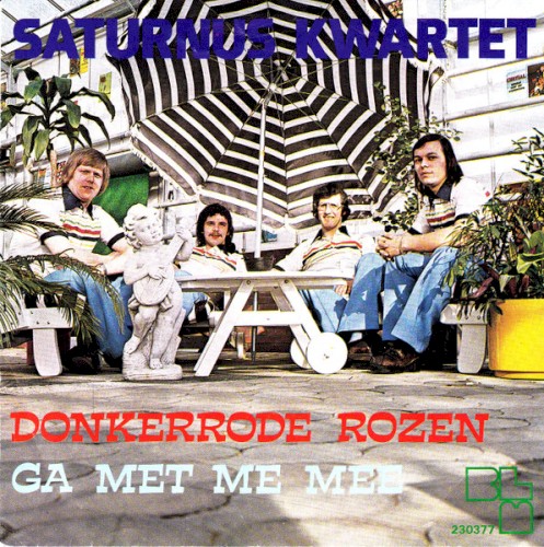 Donkerrode rozen
