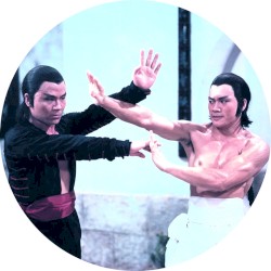 Invincible Shaolin