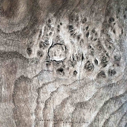 A Duck in a Tree #440, “Serial Phenomena”