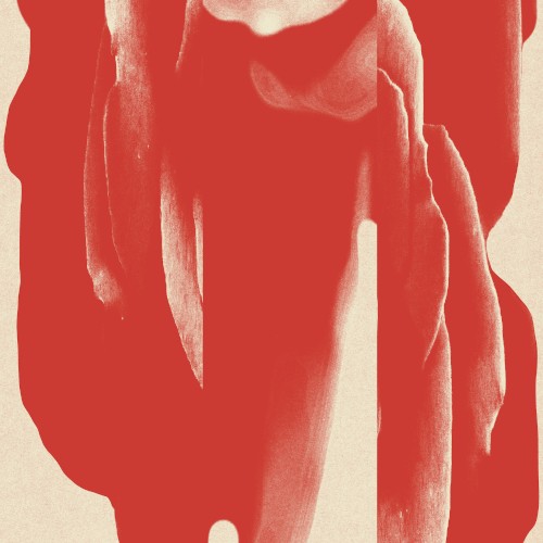 C Sequence / In Bloom