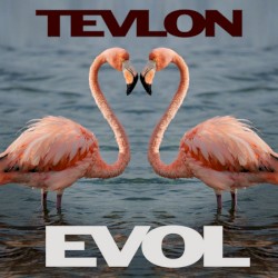 Evol