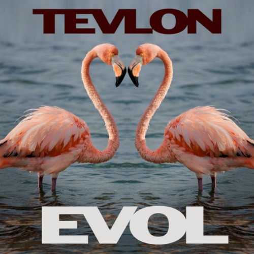 Evol