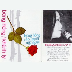 Bông hồng cho người ngã ngựa