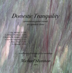 Domestic Tranquility