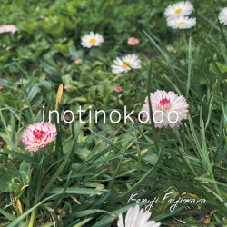 inotinokodo