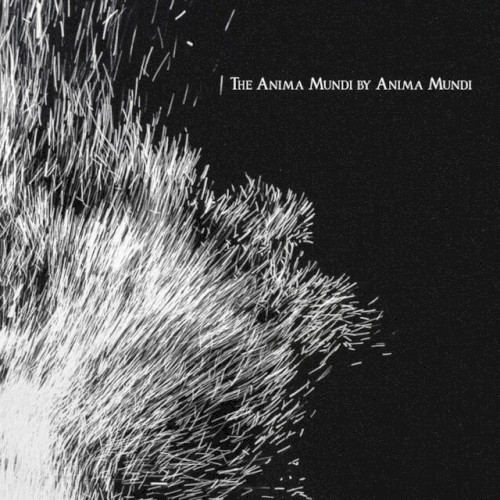 The Anima Mundi