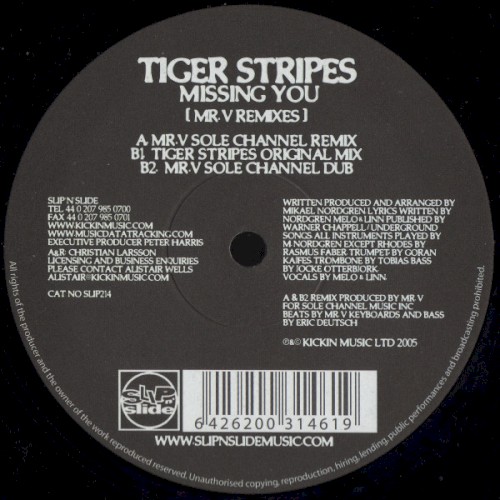 Missing You (Mr. V Remixes)