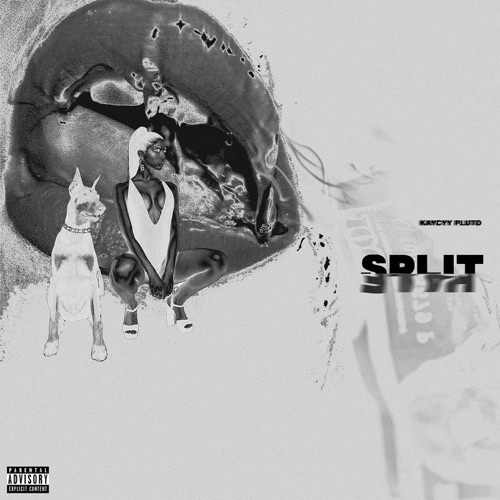 SPLIT HALF