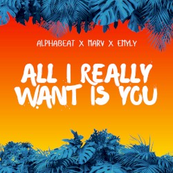 All I Really Want Is You