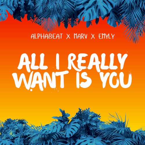 All I Really Want Is You