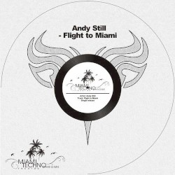 Flight To Miami