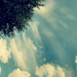 Free