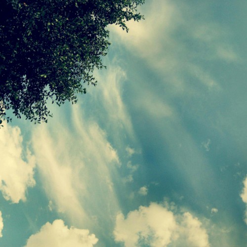 Free